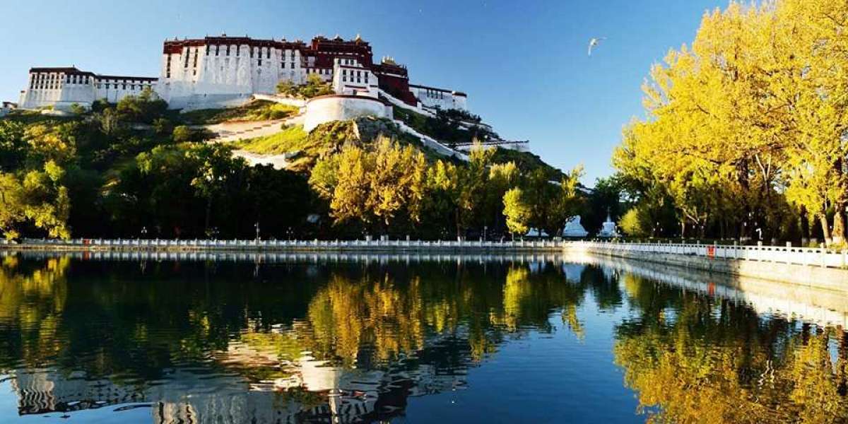 Where is Tibet located