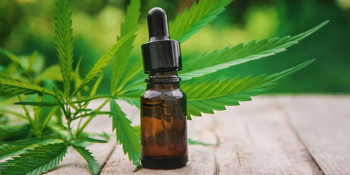 Organic Relief CBD Oil® Should Buy or Not