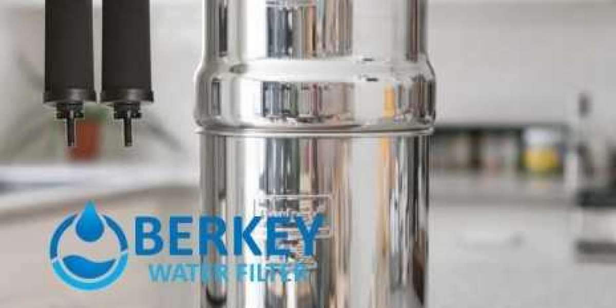Berkey Water Filter Sale