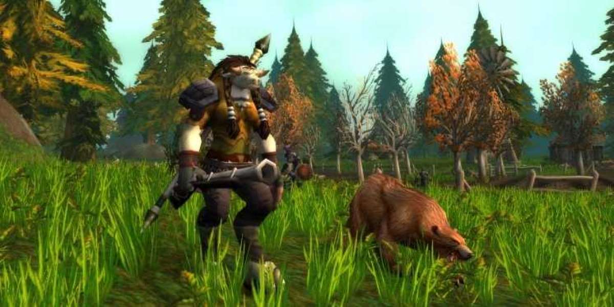 What Are the Best Pets in TBC for Leveling, Raiding and More