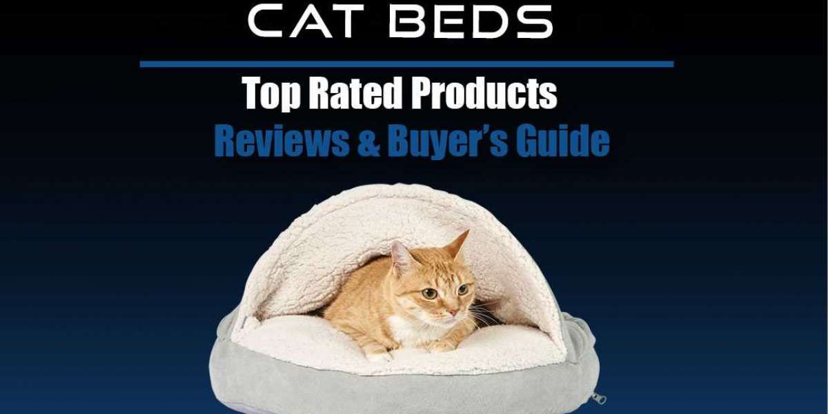 Best Heated Cat Beds Reviews