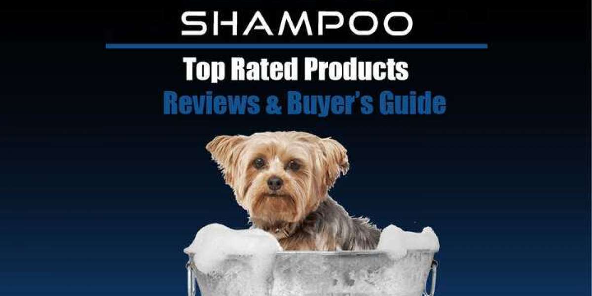 Best Shampoo For Dogs Reviews