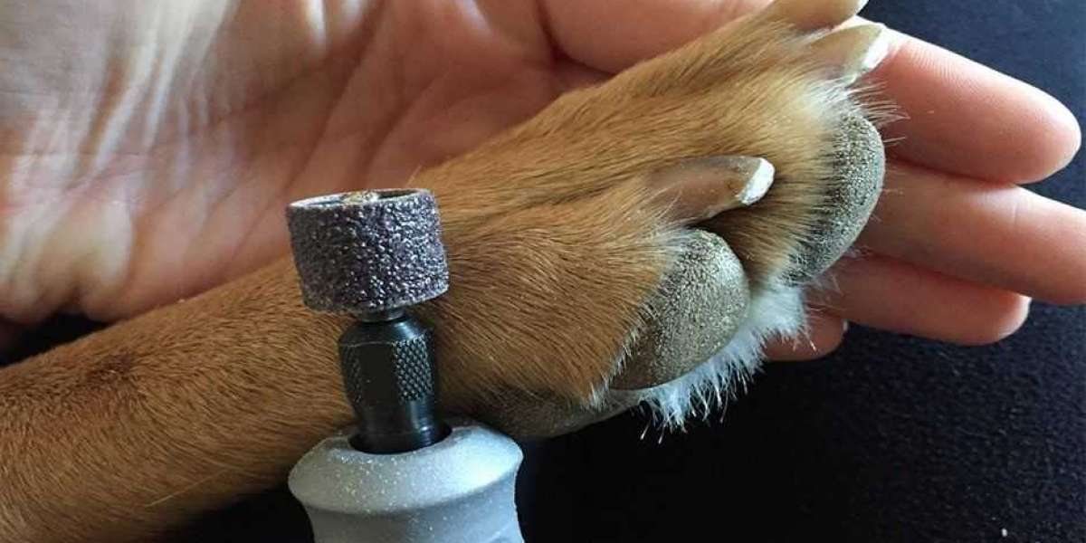 Select Dog Nail Trimmers Wisely