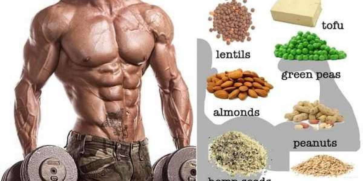 2 Things You Must Know About MUSCLE BODY BUILDING