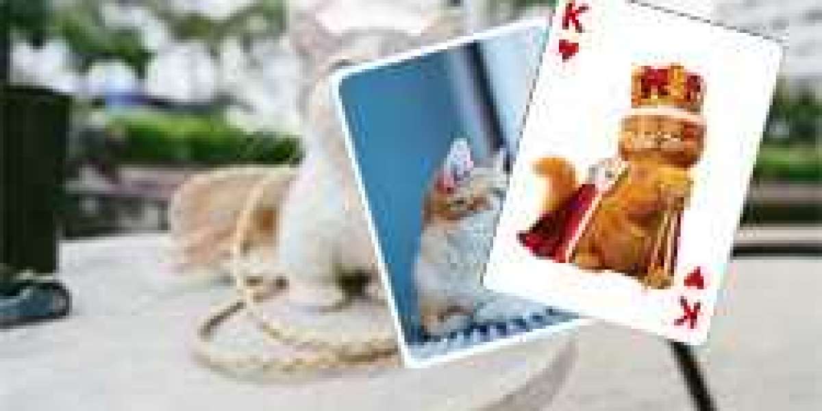 Solitaire is a fun and addictive game