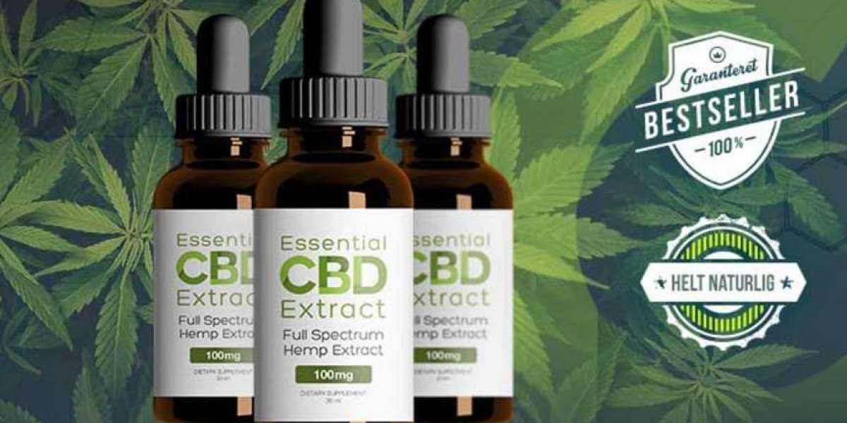 Essential CBD Extract At Clicks | What is the price of Essential CBD Extract?