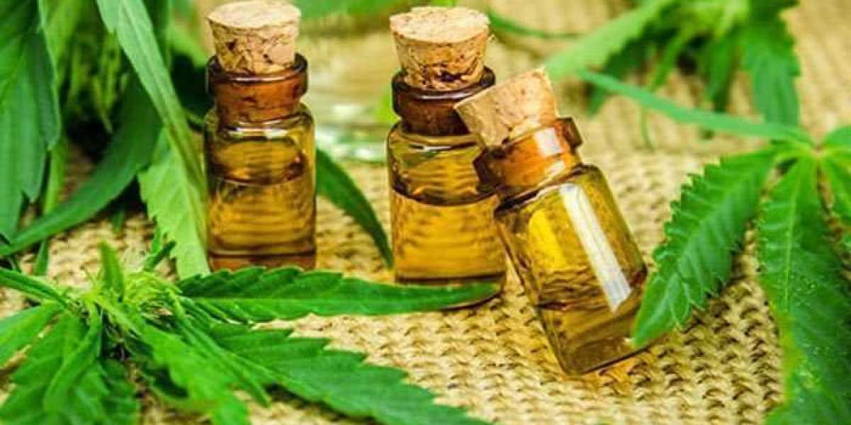 Alpha Extracts Hemp Oil Reviews In 2021 !