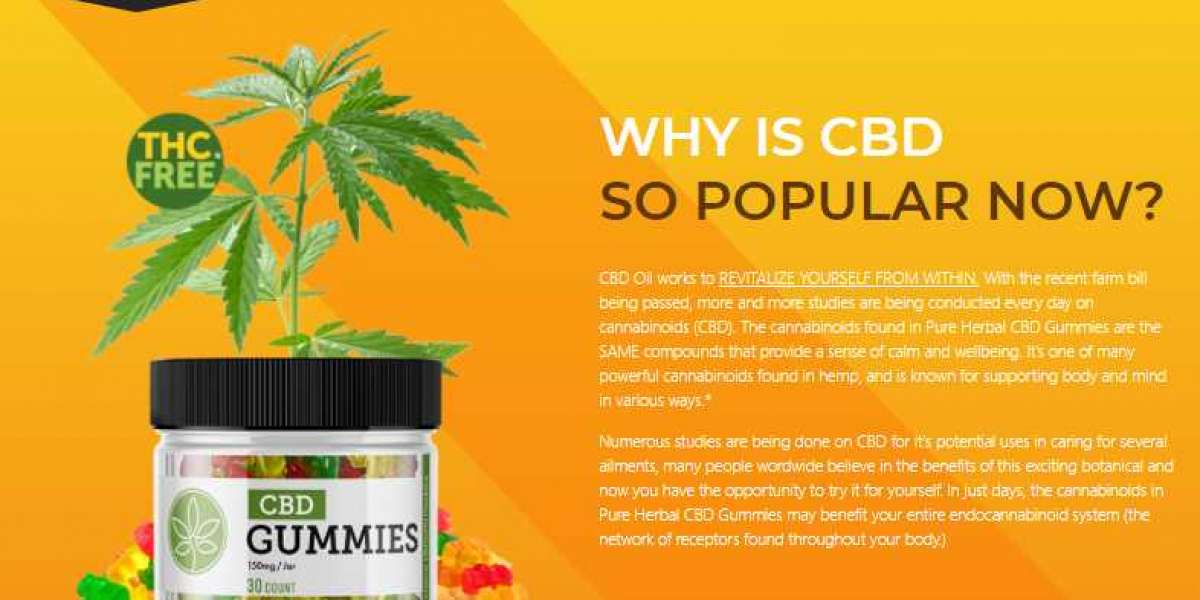 Winged CBD Gummies– Does Really Work Or Not?