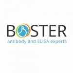 Boster Bio Profile Picture