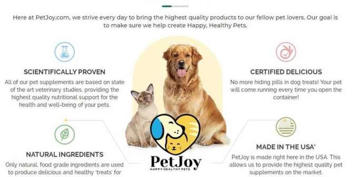 What Is PetJoy Hip & Joint Soft Chews?
