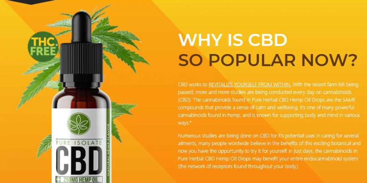 PCR Hemp Oil Reviews – Warning Shocking Facts and Benefits Or Scam?