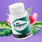 Exipure Reviews Profile Picture