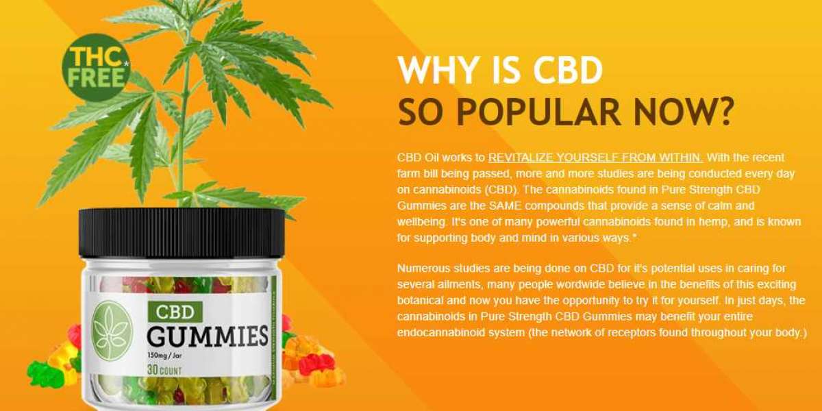 Dr Charles Stanley CBD Gummies Reviews – Is Dr Charles Stanley CBD Gummies Supplement Scam or Legit?