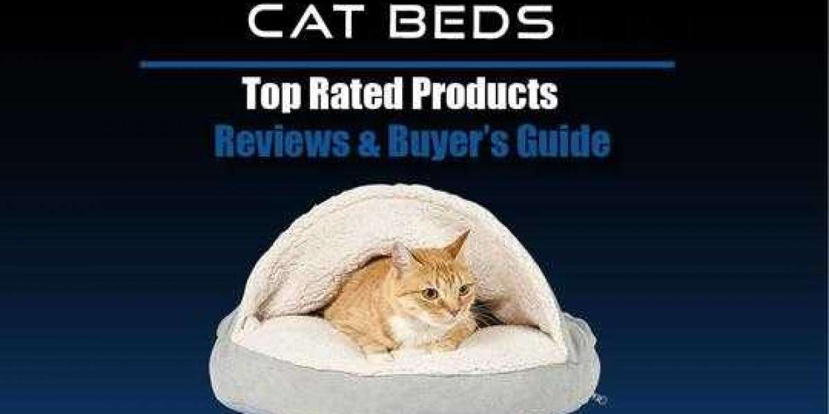 Pressure Sensitive Cat Heating Pad Reviews