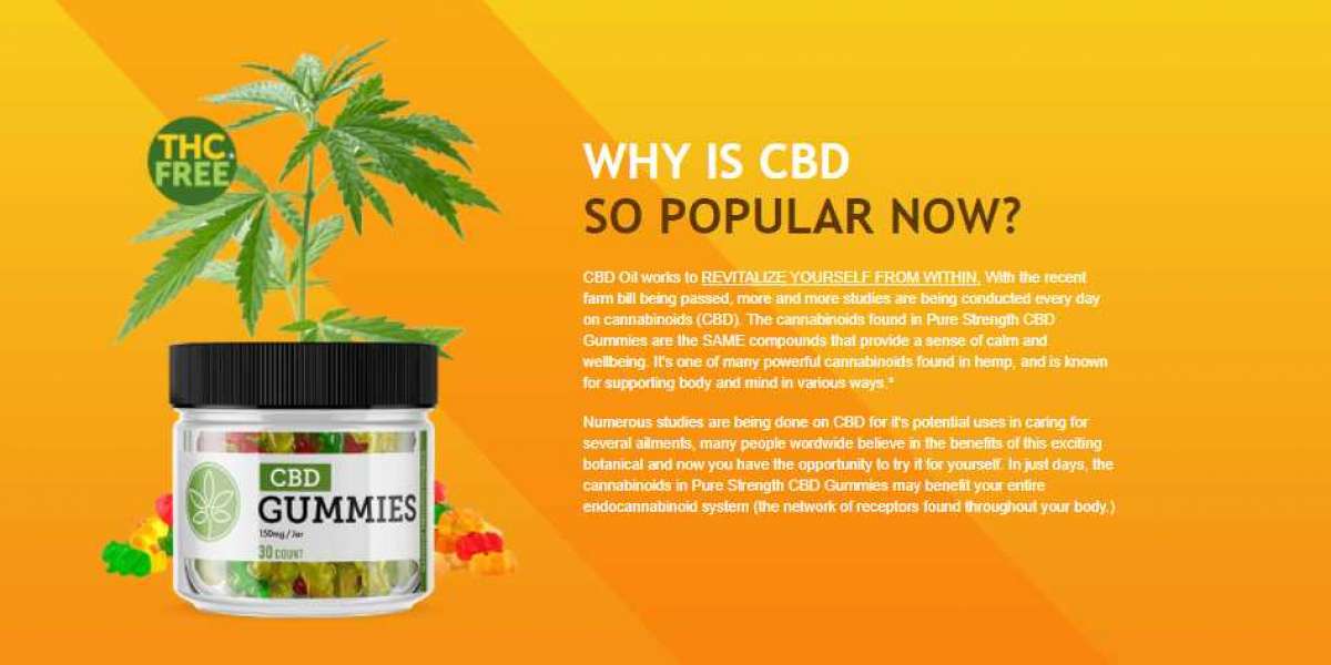 How Bradley Cooper CBD Gummies Can Ease Your Pain.