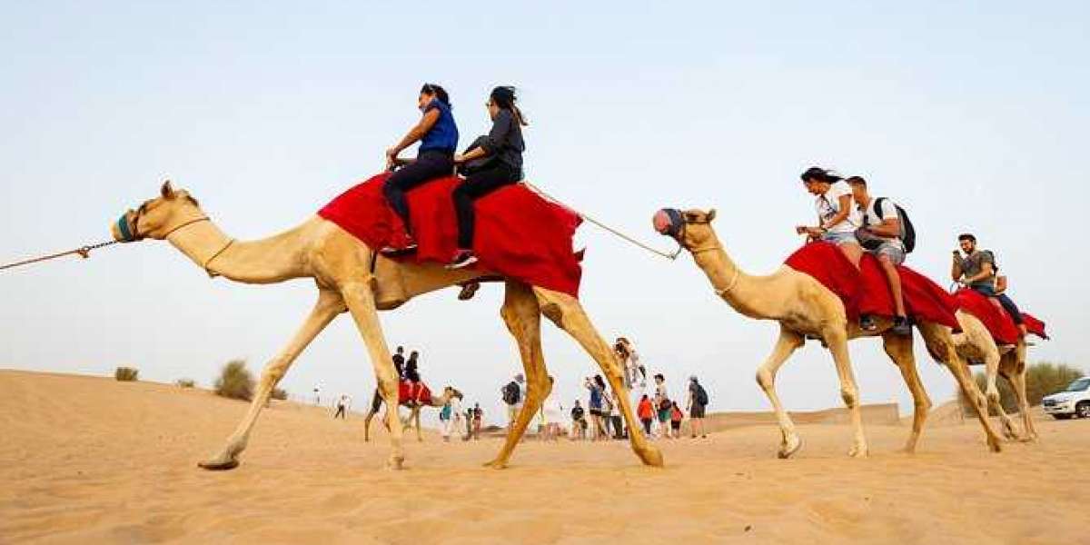 Things Will Change The Way You Approach Desert Safari Activities - The Perfect Arabian Adventure
