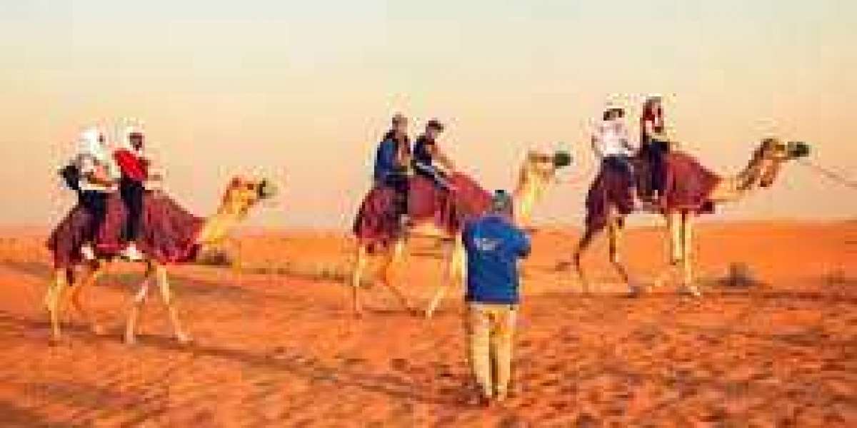 Guidance For premium desert safari dubai