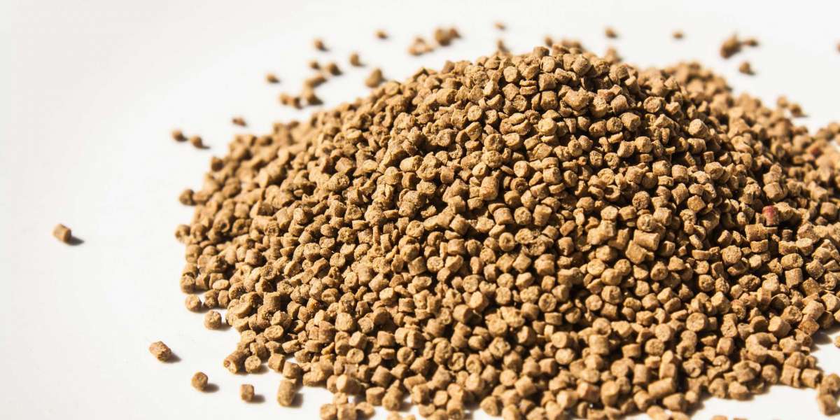 Indian Shrimp Feed Market Share, Size, Growth, Demand and Forecast Till 2026: IMARC Group