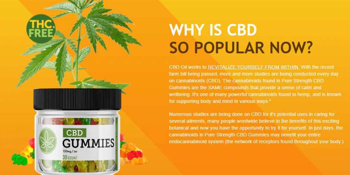 Sandra Bullock CBD Gummies Side Results, Dose and moreover how to use it?
