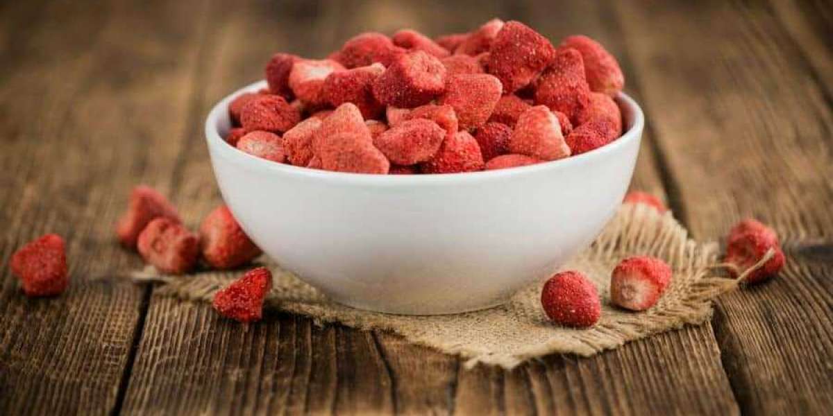 Freeze-Dried Foods Market Size, Share, Trends, Growth Analysis, Trends & Forecast by 2028