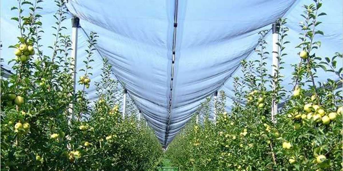 Agro Textiles Market Size, Share, Trends, Competitive Analysis and Growth by 2021-2026