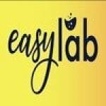 easylabseo profile picture