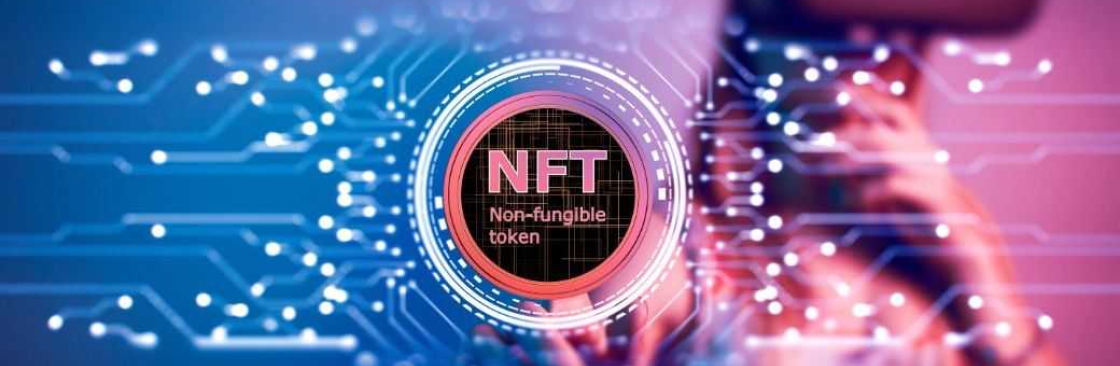 NFT Investor Cover Image