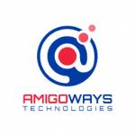 Amigoways Technologies Pvt Ltd Profile Picture