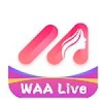 Waalive Profile Picture