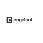 Page Loot Profile Picture