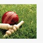 cricket scores Profile Picture