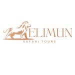 Elimun Safari Tours Profile Picture