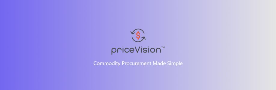 Price Vision Cover Image
