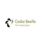 Texas Right Of Way - Cedar Beetle Profile Picture
