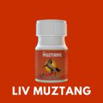 Liv Muztang profile picture