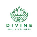 Divine Soul & Wellness Spa profile picture