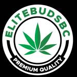 Elite Buds Profile Picture