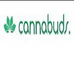 CANNABUDS Profile Picture